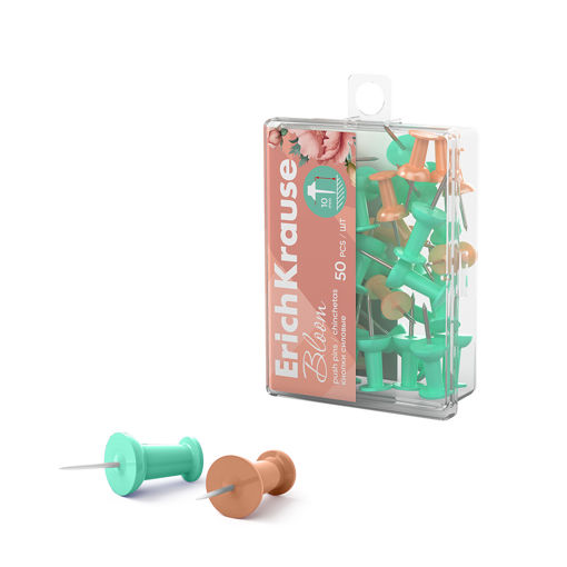 Picture of PUSH PINS PASTEL BLOOM 50 PIECES